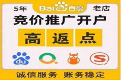案例解析：SEM搜索引擎优化助力电商快速崛起